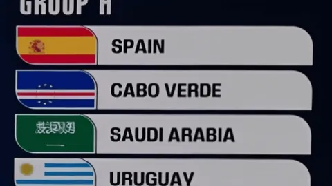 南迁候鸟春节在湿地“度冬”之旅：保护修复打造“越冬天堂”